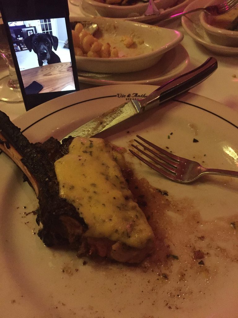 Cute Animals That Are Obsessed With Your Food