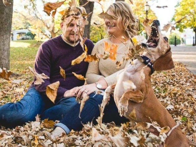 Hilarious Times When Pets Ruined Family Photos