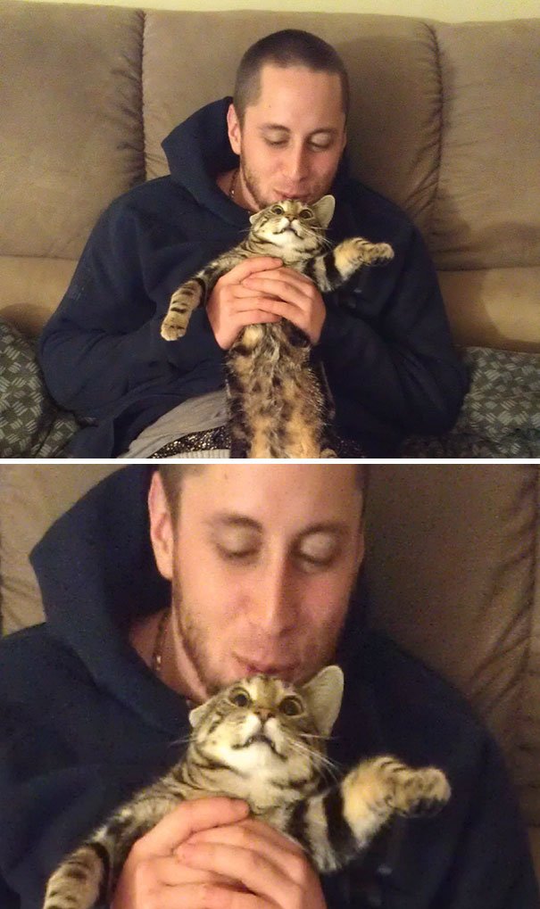 Times When Cats Didn’t Want To Be In Your Boring Selfies