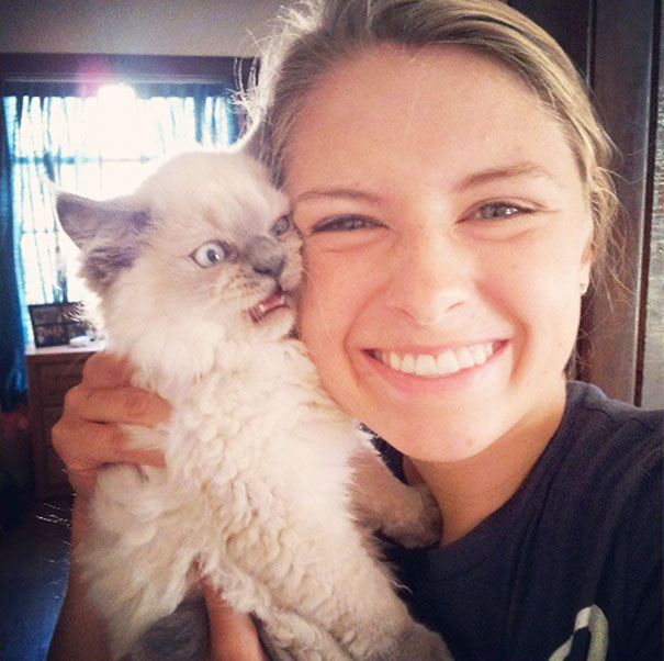 Times When Cats Didn’t Want To Be In Your Boring Selfies
