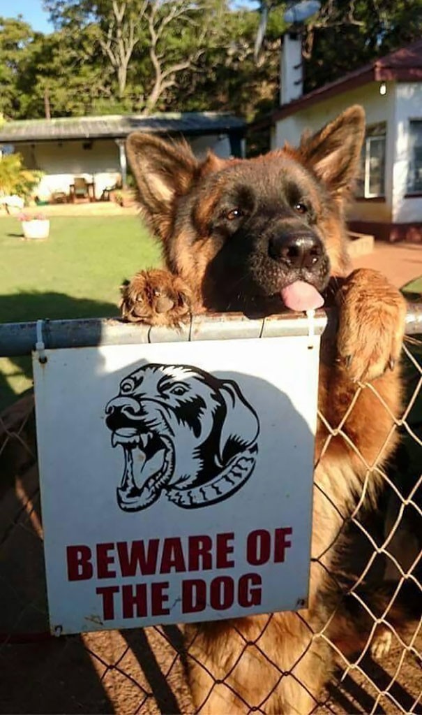 Hilarious Dog Warning Signs That Will Scare Any Intruder