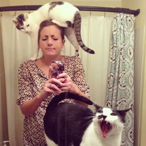 Times When Cats Didn’t Want To Be In Your Boring Selfies