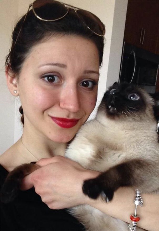 Times When Cats Didn’t Want To Be In Your Boring Selfies