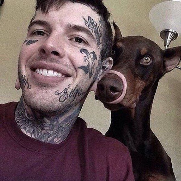 WTF dog photos that make no sense at all