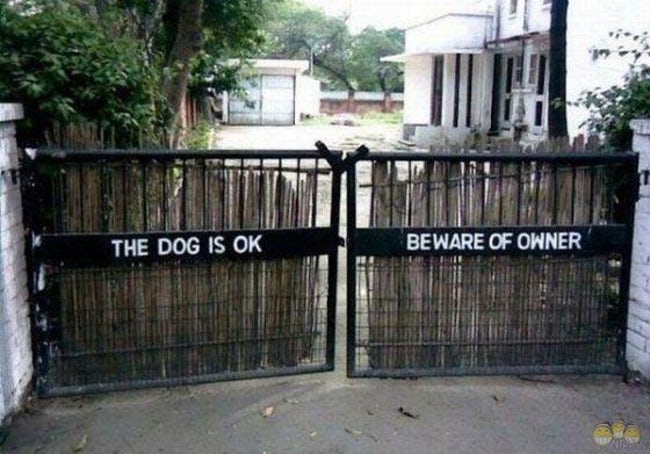 Hilarious Dog Warning Signs That Will Scare Any Intruder