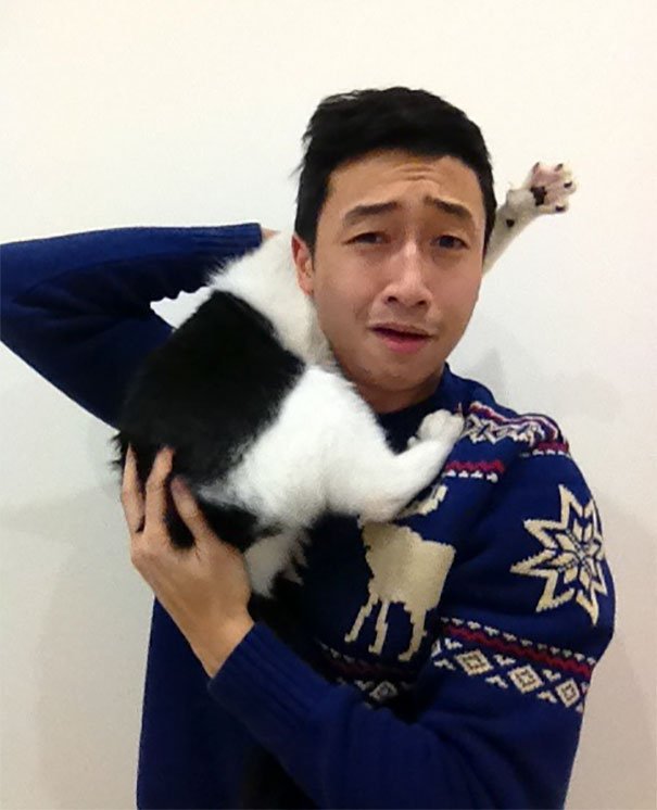 Times When Cats Didn’t Want To Be In Your Boring Selfies