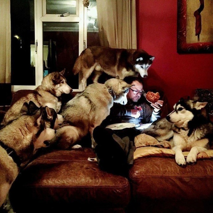 Cute Animals That Are Obsessed With Your Food