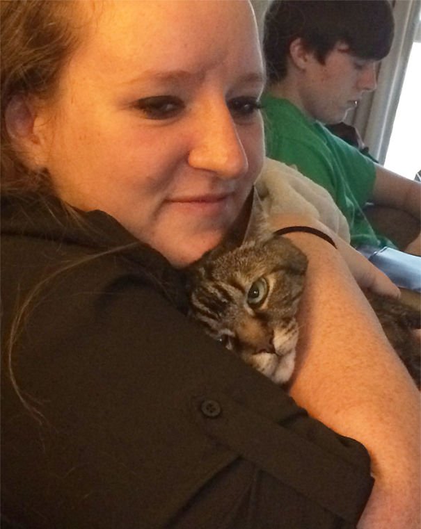 Times When Cats Didn’t Want To Be In Your Boring Selfies