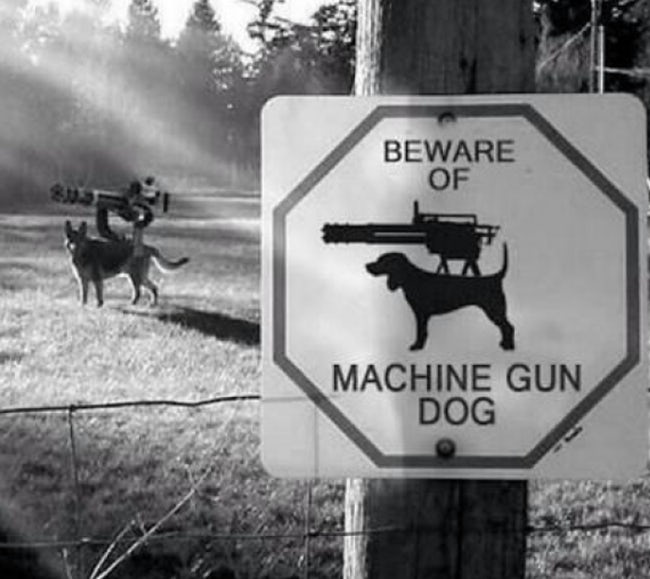 Hilarious Dog Warning Signs That Will Scare Any Intruder