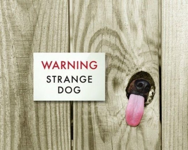 Hilarious Dog Warning Signs That Will Scare Any Intruder