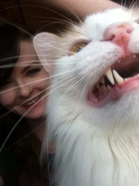 Times When Cats Didn’t Want To Be In Your Boring Selfies