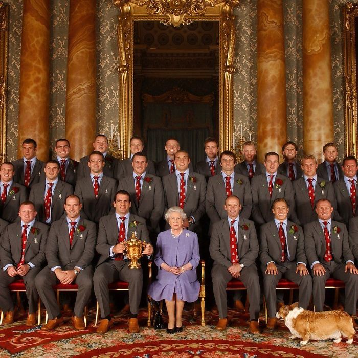 Hilariously Adorable Reasons Why the Queen Chose Corgis