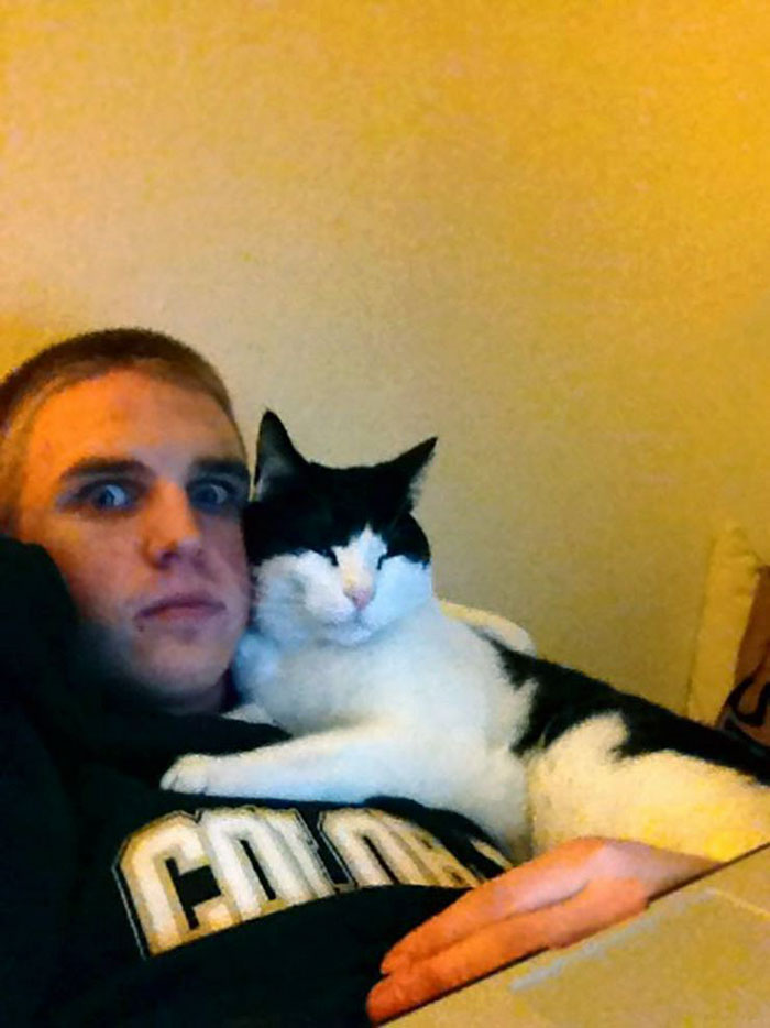 Funniest “I Don’t Own A Cat” Moments That Happened To People