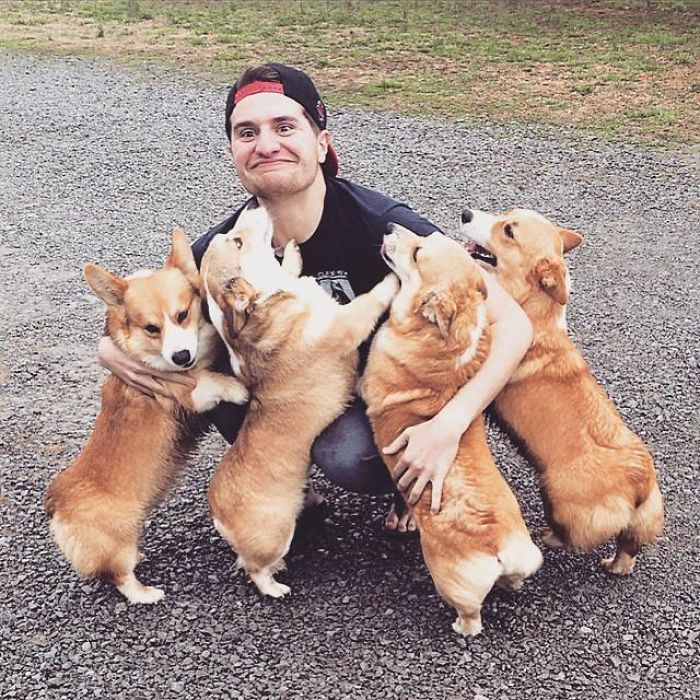 Hilariously Adorable Reasons Why the Queen Chose Corgis