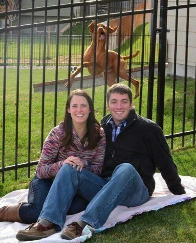 Hilarious Times When Pets Ruined Family Photos