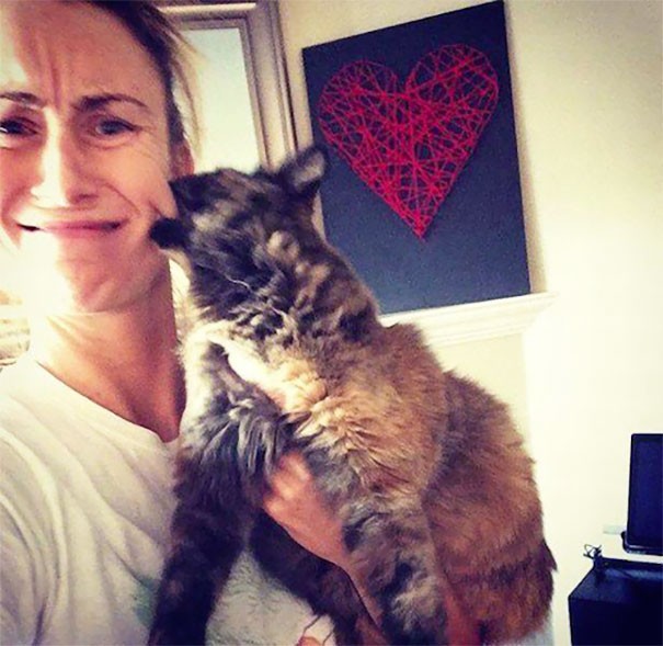 Times When Cats Didn’t Want To Be In Your Boring Selfies
