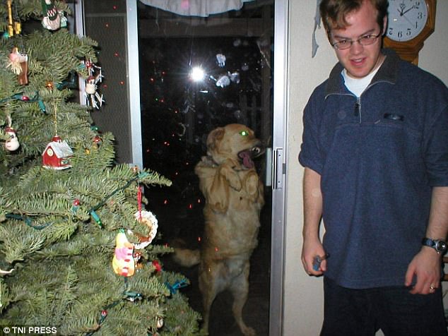 Hilarious Times When Pets Ruined Family Photos
