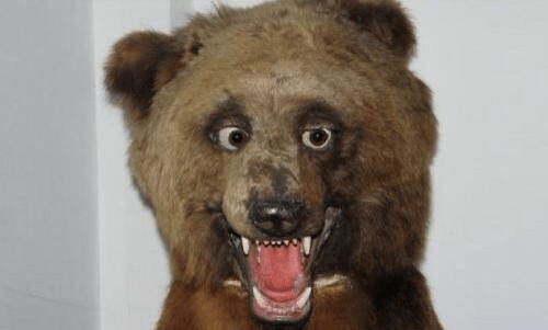 Taxidermy FAILs That Are Both Funny and Horrifying
