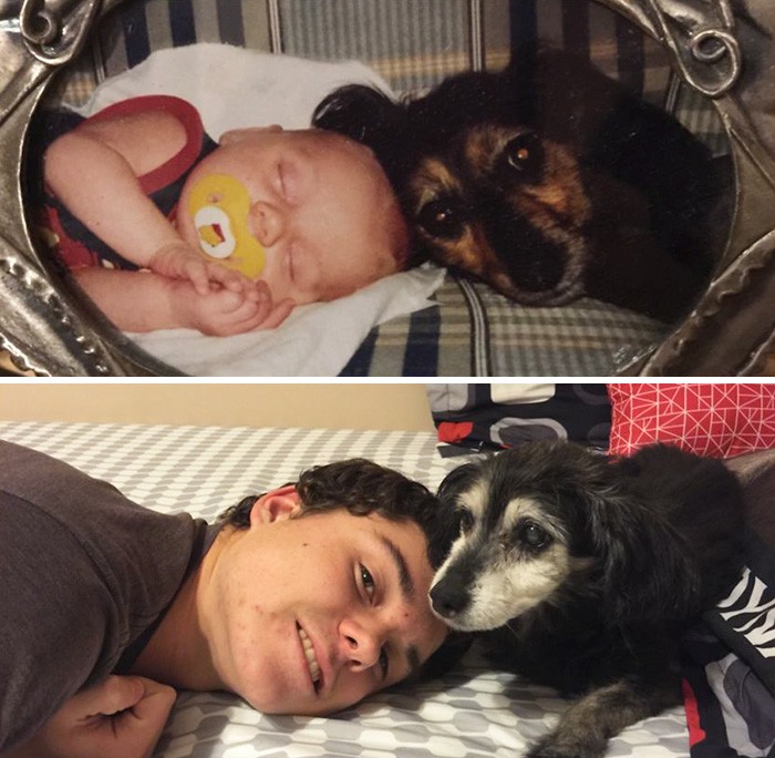 Adorable Before-And-After Photos Of Dogs And Their Owners Growing Together