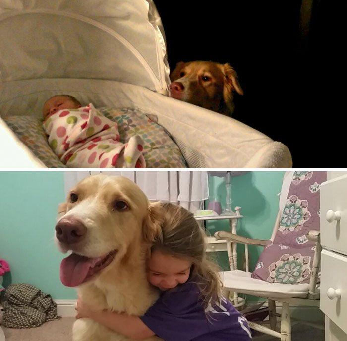 Adorable Before-And-After Photos Of Dogs And Their Owners Growing Together