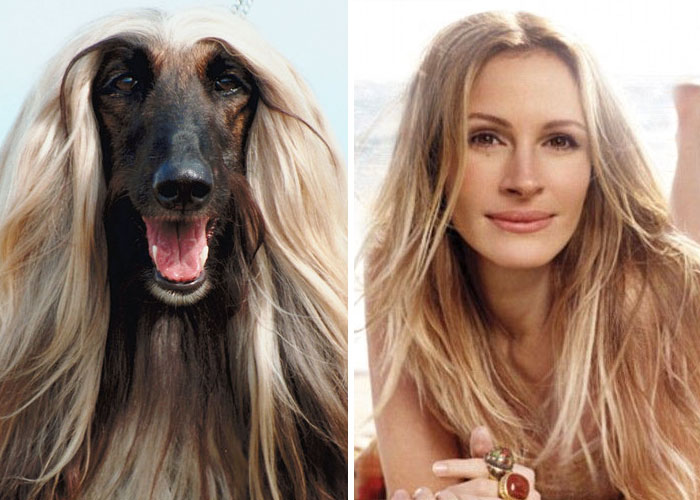 Animals who look freakily like famous celebrities