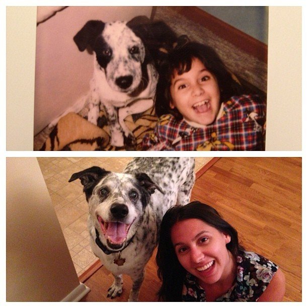 Adorable Before-And-After Photos Of Dogs And Their Owners Growing Together