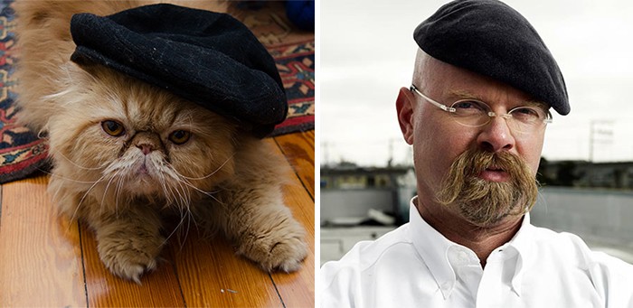 Animals who look freakily like famous celebrities