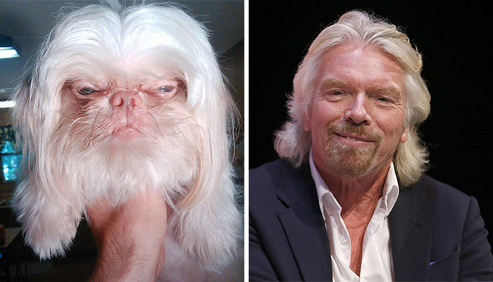 Animals who look freakily like famous celebrities