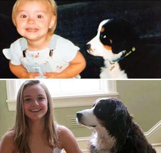 Adorable Before-And-After Photos Of Dogs And Their Owners Growing Together