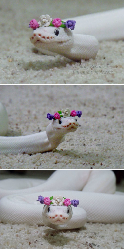 These photos will help you get over your fears of snakes