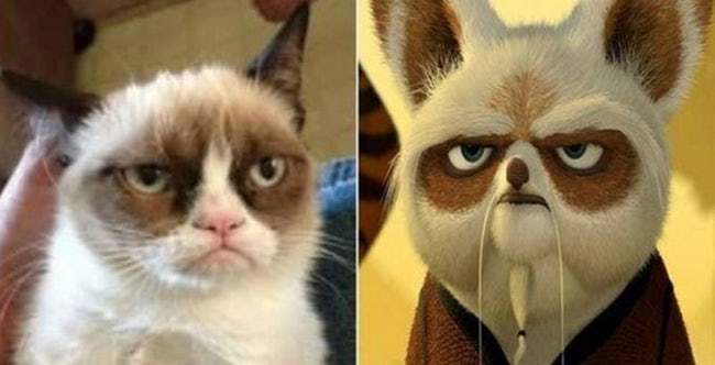 Animals That Look Like Famous Fictional Characters