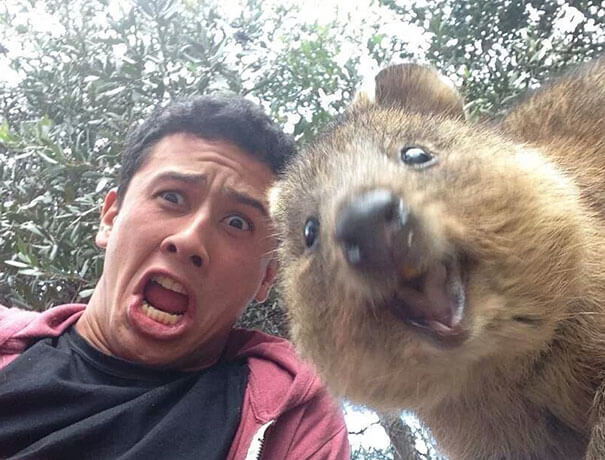 Animals Taking Selfies That Will Make You Smile for rest of the day