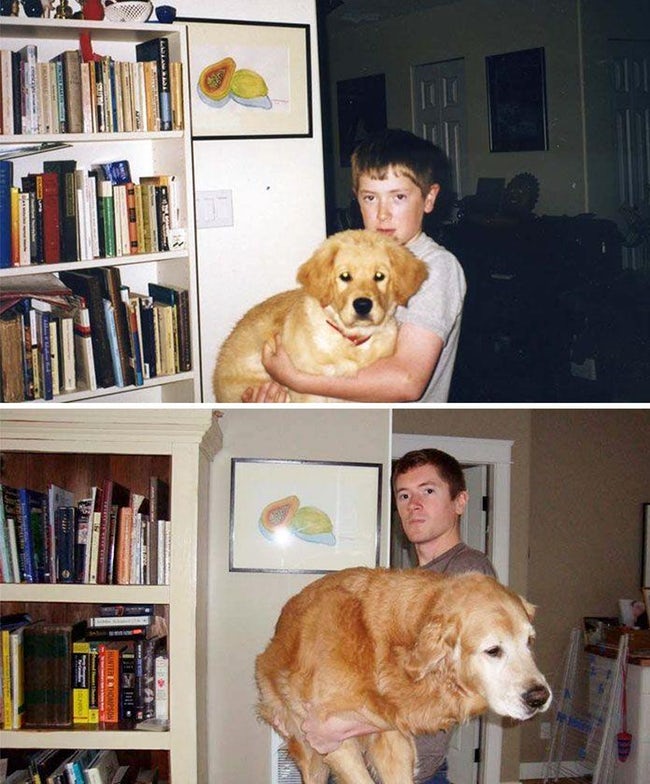 Adorable Before-And-After Photos Of Dogs And Their Owners Growing Together
