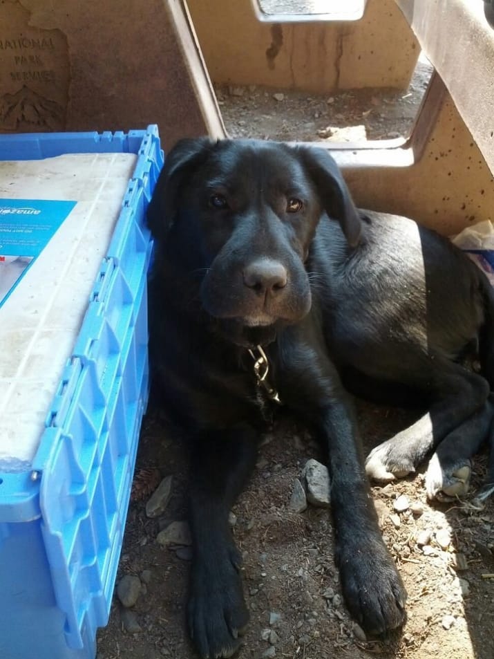 I shink the shwelling shtopped