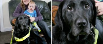 Incredible Dogs Who Have Saved Babies