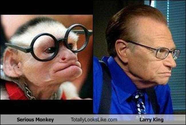 Animals who look freakily like famous celebrities