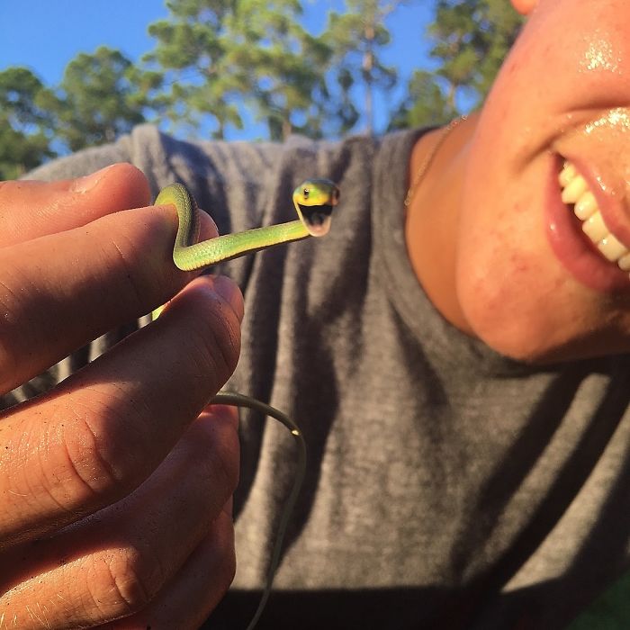 These photos will help you get over your fears of snakes