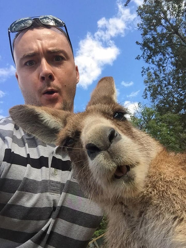 Animals Taking Selfies That Will Make You Smile for rest of the day