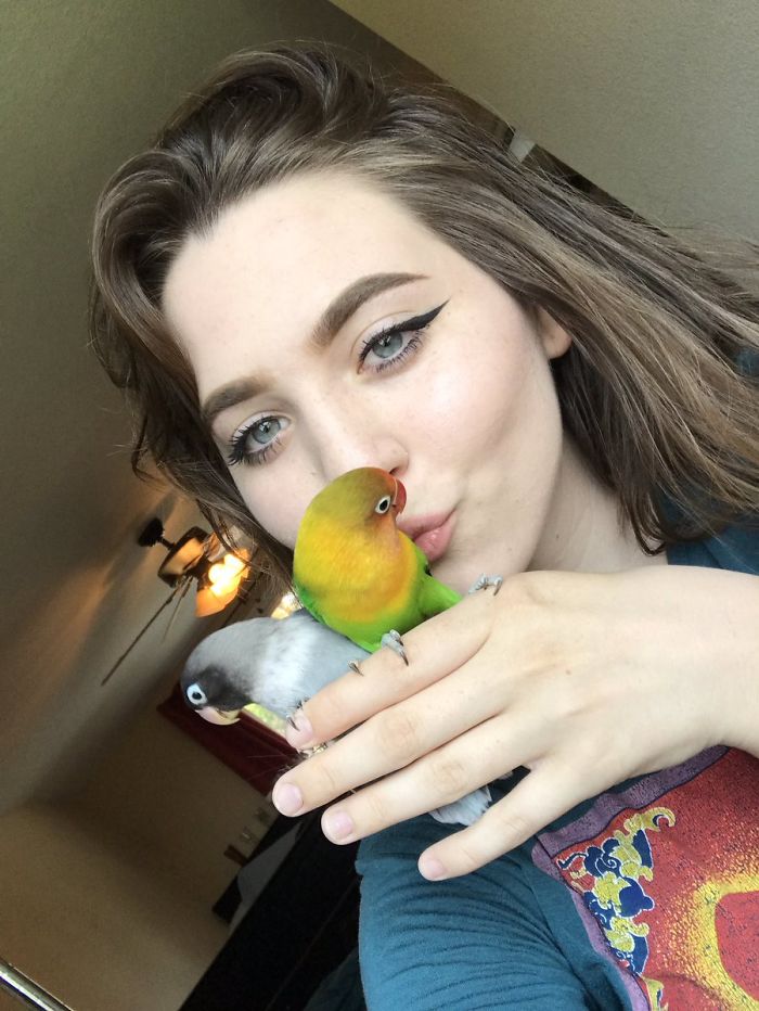 Kiwi And His Goth Girlfriend Just Had 4 Babies And Internet Is in Love