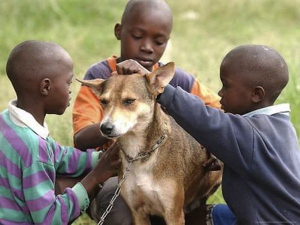 Mkombozi
