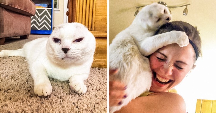 These Injured Animals Found Loving Homes