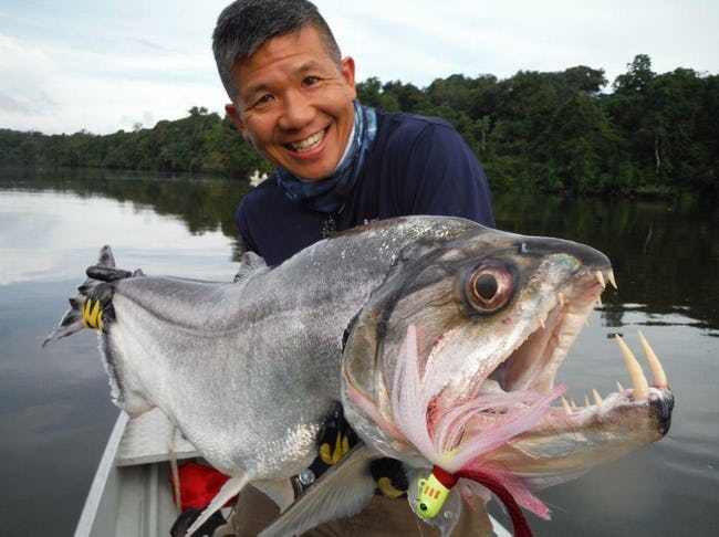 Terrifying Animal Mouths That Are Upsetting To Even Look At