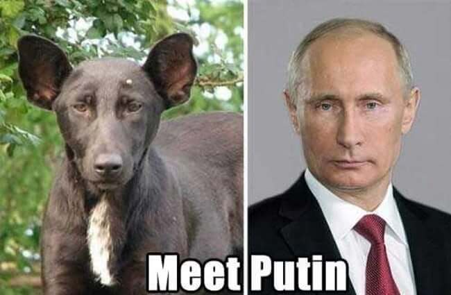 Pets That Were Named Appropriately