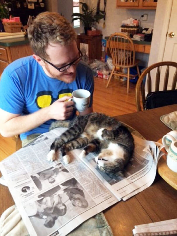 Cats That Would Like Some Attention