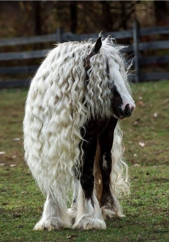 Nature made these animals one of a kind