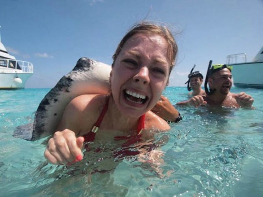 Pictures of Funniest animal attacks on humans