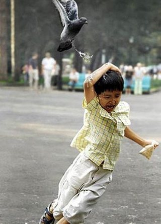 Pictures of Funniest animal attacks on humans