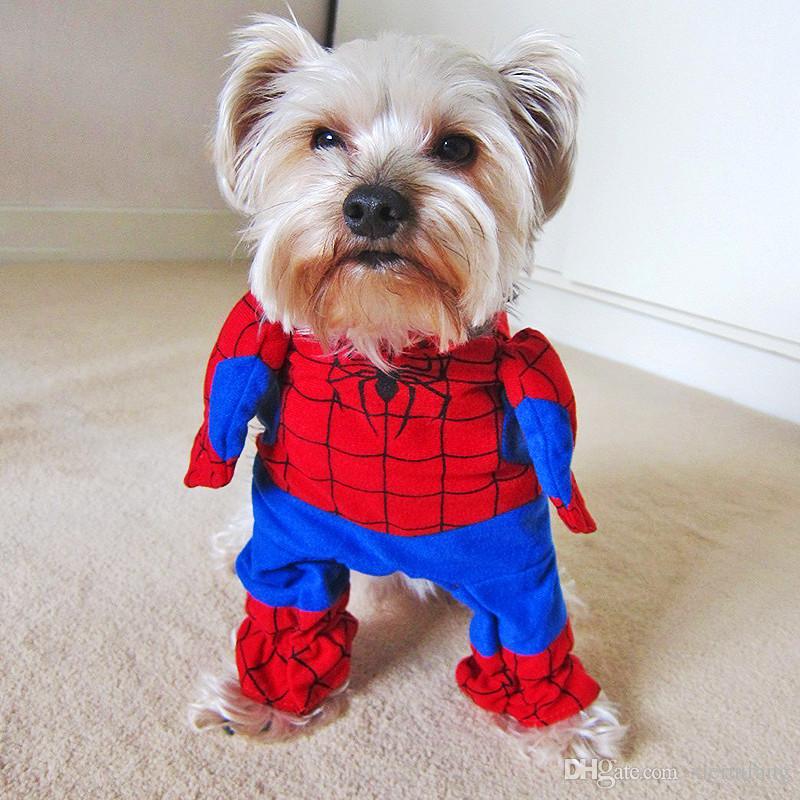 Best Pets Dressed as Superheroes
