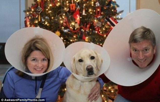 Pets Making the Most of Their Cones of Shame