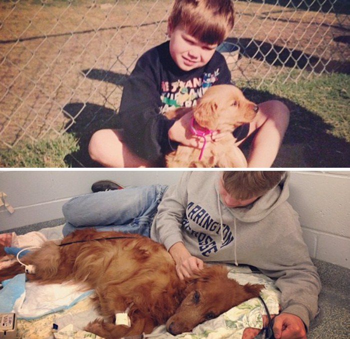 Adorable Before-And-After Photos Of Dogs And Their Owners Growing Together